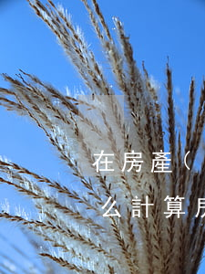 在房產(chǎn)交易中要交哪些稅該怎么計算（房屋買賣稅費如何計算）