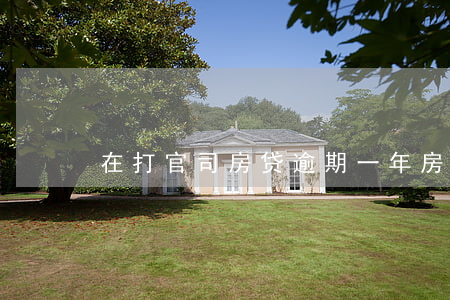 在打官司房贷逾期一年(房贷逾期一年了)