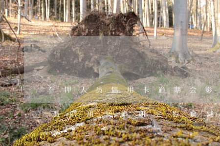 在押人员信用卡逾期会影响减刑吗-在押人员信用卡逾期会影响减刑吗知乎