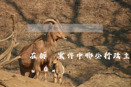 在拆遷案件中,哪些行政主體具有強拆權(quán)