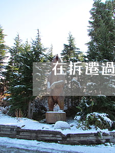 在拆遷過程中，有哪些和拆遷方談判的小技巧
