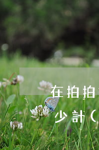 在拍拍貸借3萬(wàn)元一年利息是多少，計(jì)算拍拍貸借款3萬(wàn)元一年的利息，你需要知道這些信息