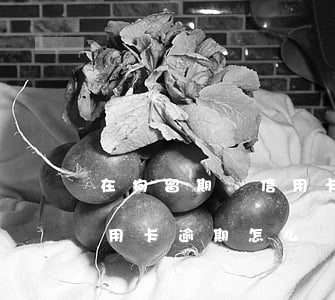 在拘留期間信用卡逾期怎么辦(在拘留期間信用卡逾期怎么辦理)