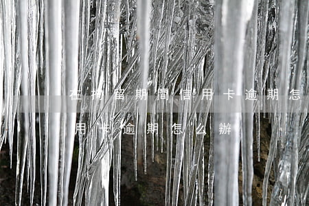 在拘留期間信用卡逾期怎么辦(被拘留期間信用卡逾期怎么辦)