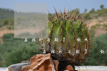 在招行逾期了還能成為優(yōu)質客戶嗎-在招行逾期了還能成為優(yōu)質客戶嗎知乎