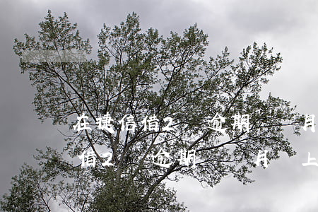 在捷信借2萬逾期兩個月會上門嗎-在捷信借2萬逾期兩個月會上門嗎是真的嗎