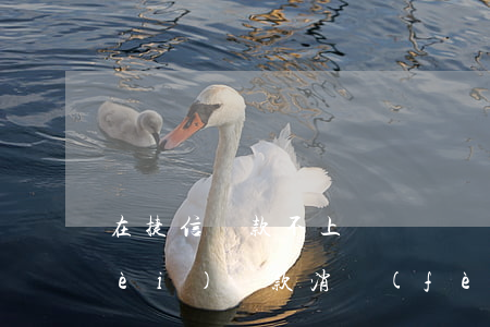 在捷信貸款不上傳憑證還(捷信金融消費(fèi)貸款消費(fèi)憑證不上傳會(huì)怎么樣)