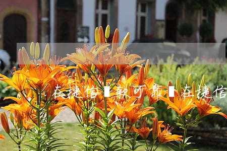 在捷信貸款可靠嗎(在捷信上貸款有什么后果)