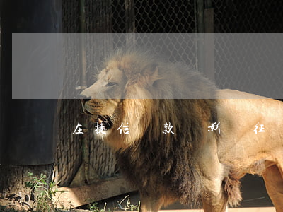在捷信貸款會影響征詢嗎(捷信會影響征信么)
