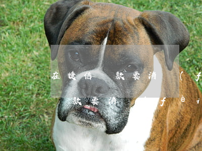 在捷信貸款要消費(fèi)憑證嗎(在捷信貸款要消費(fèi)憑證嗎)