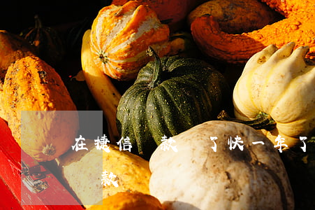 在捷信貸款還了快一年了(捷信還清后多久能貸款)