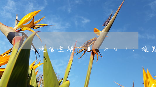 在捷信逾期了會(huì)被怎么樣