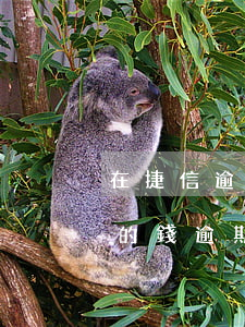 在捷信逾期五年沒有還了會不會立案（欠捷信的錢逾期半年會被起訴嗎）