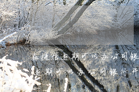 在捷信逾期可以办公司银行开户吗-在捷信逾期可以办公司银行开户吗安全吗