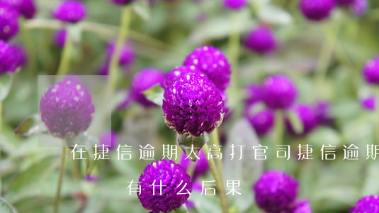在捷信逾期太高打官司(捷信逾期多久會被起訴會有什么后果)