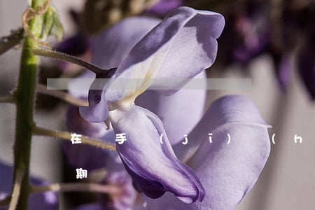 在換手機(jī)號(hào)后信用卡逾期幾塊錢