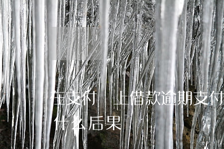 在支付寶上借款逾期(支付寶借錢逾期未還有什么后果)