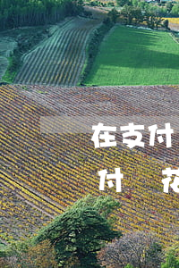 在支付寶上逾期會(huì)影響征信嗎(支付寶花唄逾期了會(huì)影響征信嗎)