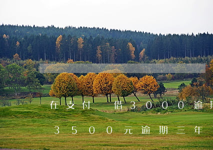 在支付寶借3000逾期3年了 支付寶借唄3500元逾期三年了