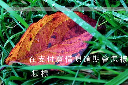 在支付寶借唄逾期會怎樣 支付寶借唄逾期會怎樣?
