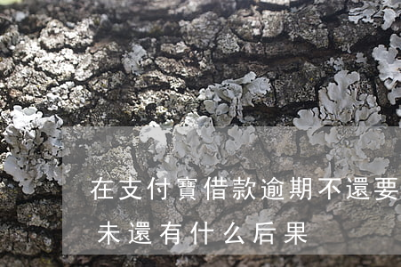 在支付寶借款逾期不還要座(支付寶借錢逾期未還有什么后果)