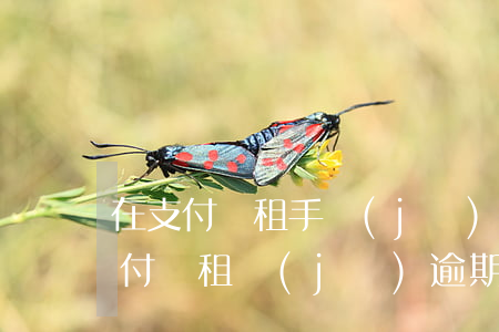 在支付寶租手機(jī)逾期了會怎么樣（支付寶租機(jī)逾期幾天會影響征信嗎）