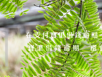 在支付寶里借錢逾期沒還會怎么樣-在支付寶里借錢逾期沒還會怎么樣嗎