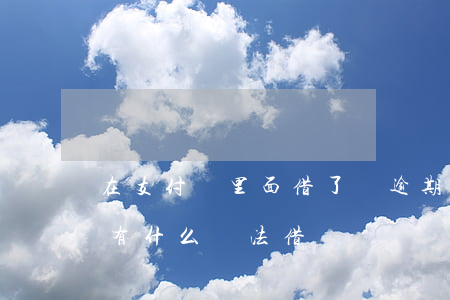 在支付寶里面借了錢逾期還款(支付寶逾期還有什么辦法借錢)