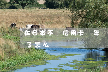 在日本不還信用卡幾年過期(日本在留卡到期了怎么辦)