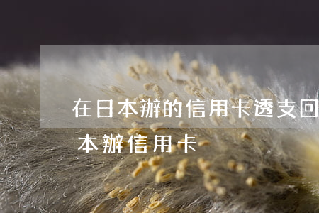 在日本辦的信用卡透支回國(guó)(去日本辦信用卡)
