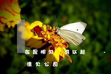 在昆明欠錢可以起訴嗎-昆明債務(wù)清欠公司