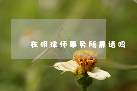 在明律师事务所靠谱吗