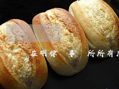 在明律師事務所所有成(明光律師事務所)