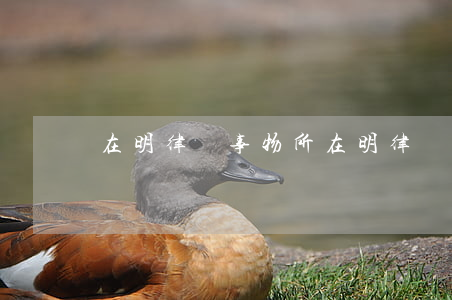 在明律師事物所(在明律師事務(wù)所靠譜嗎)