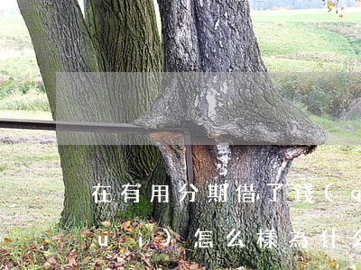 在有用分期借了錢(qián)不還會(huì)怎么樣(為什么好分期不能借錢(qián)了)