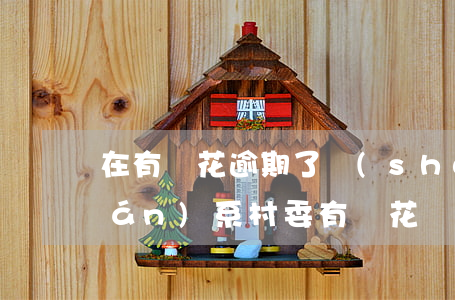 在有錢花逾期了說(shuō)要聯(lián)系村委(有錢花會(huì)聯(lián)系村委會(huì)嗎)