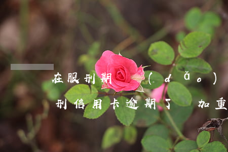 在服刑期間導(dǎo)致信用卡逾期(因服刑信用卡逾期了,會加重刑期嗎?)