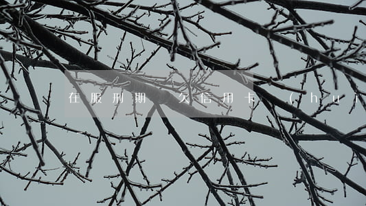在服刑期間欠信用卡會(huì)被起訴嗎-