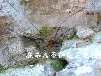 在本人不知道在捷信贷款(为什么在捷信贷不了款)