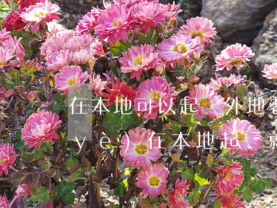 在本地可以起訴外地老板嗎(起訴外地企業(yè)在本地起訴就可以是嗎)