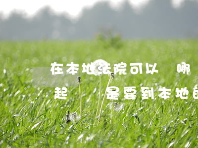 在本地法院可以嗎(哪個(gè)法院都可以起訴還是要到本地的才行?)