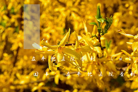 在本地法院查到網(wǎng)貸逾期怎么回事-在本地法院查到網(wǎng)貸逾期怎么回事啊