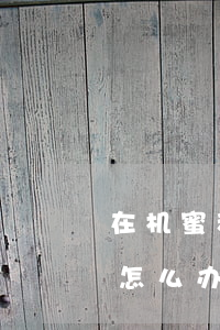 在机蜜租手机逾期被起诉-机蜜租机到期了怎么办