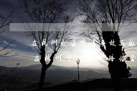 在杭州发生交通事故三级伤残赔偿多少万元(在杭州十级伤残赔偿金是多少)