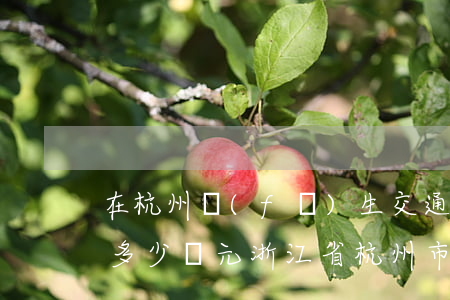 在杭州發(fā)生交通事故三級傷殘賠償多少萬元(浙江省杭州市交通事故賠償標(biāo)準(zhǔn))