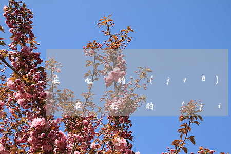 在東北辦的結(jié)婚證能在山東離婚嗎(在東北辦的結(jié)婚證能在山東離婚嗎)