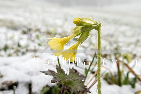 在查封扣押后應(yīng)如何保管物品