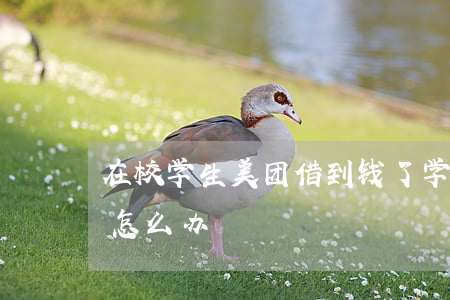 在校学生美团借到钱了（学生美团借钱不逾期怎么办）