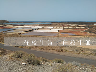 在校生兼職(在校生兼職招聘)