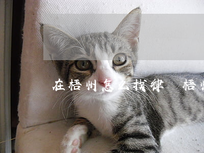 在梧州怎么找律師(梧州律師事務(wù)所)